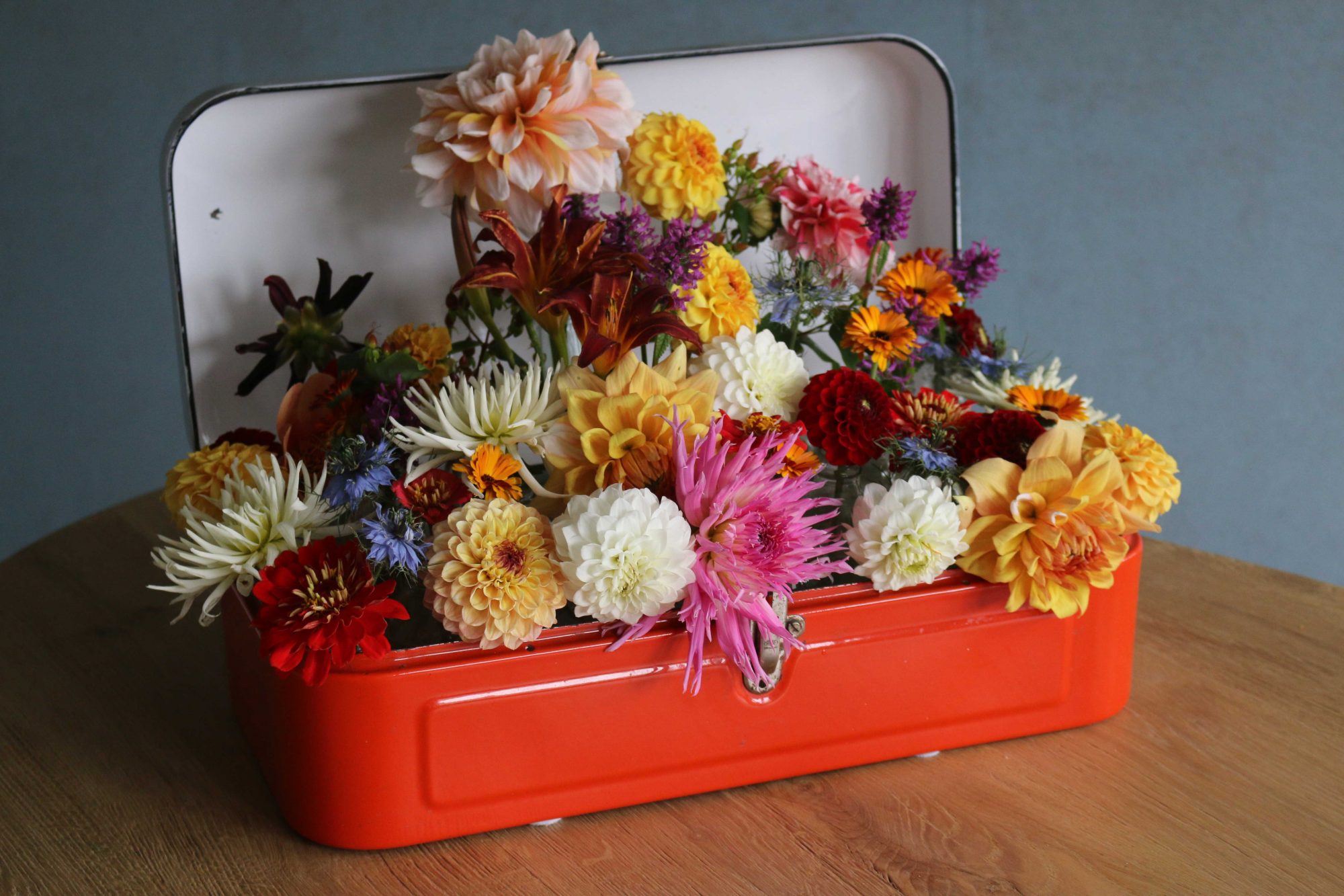 trommel met dahlia 's