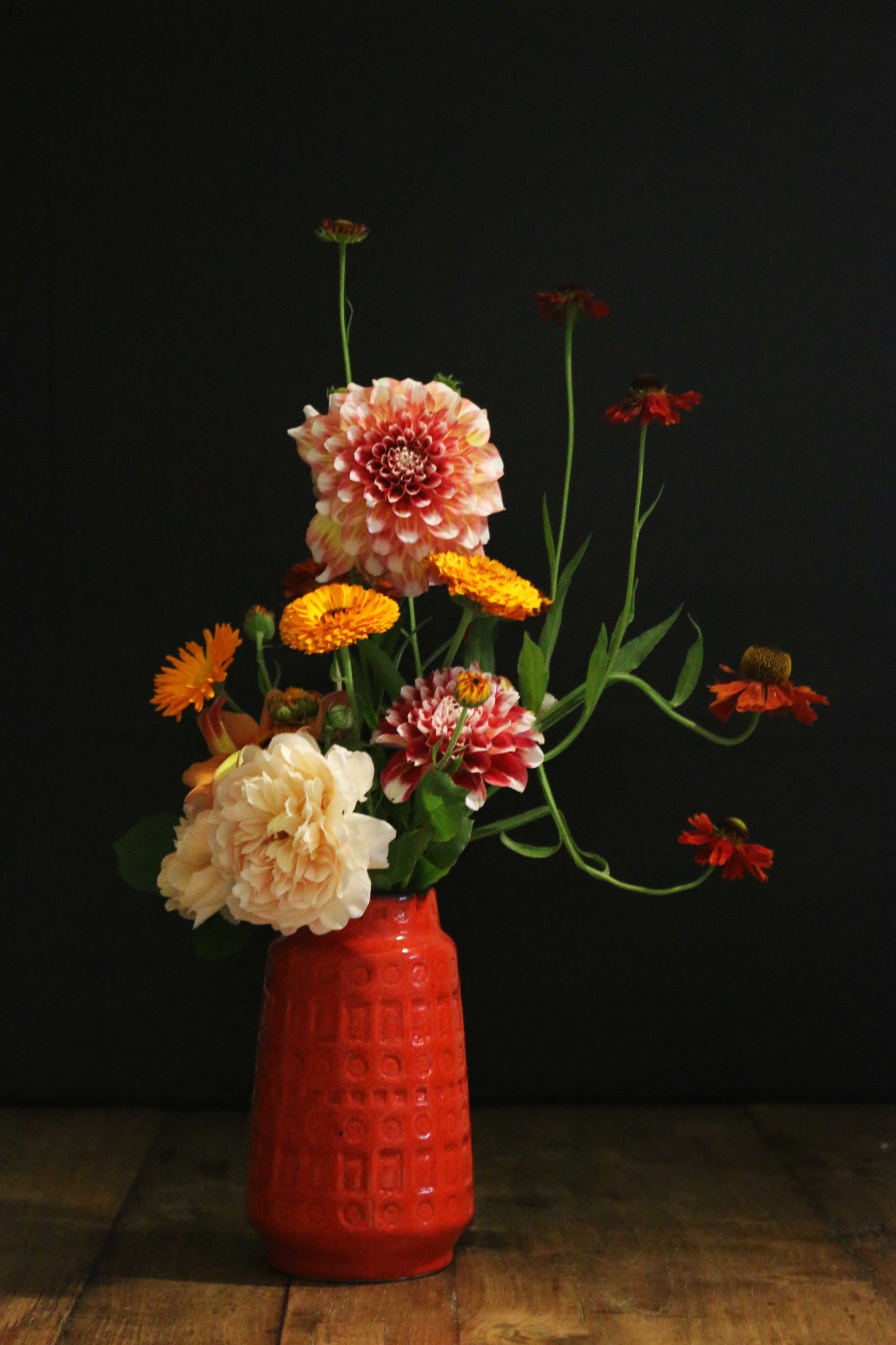 helenium