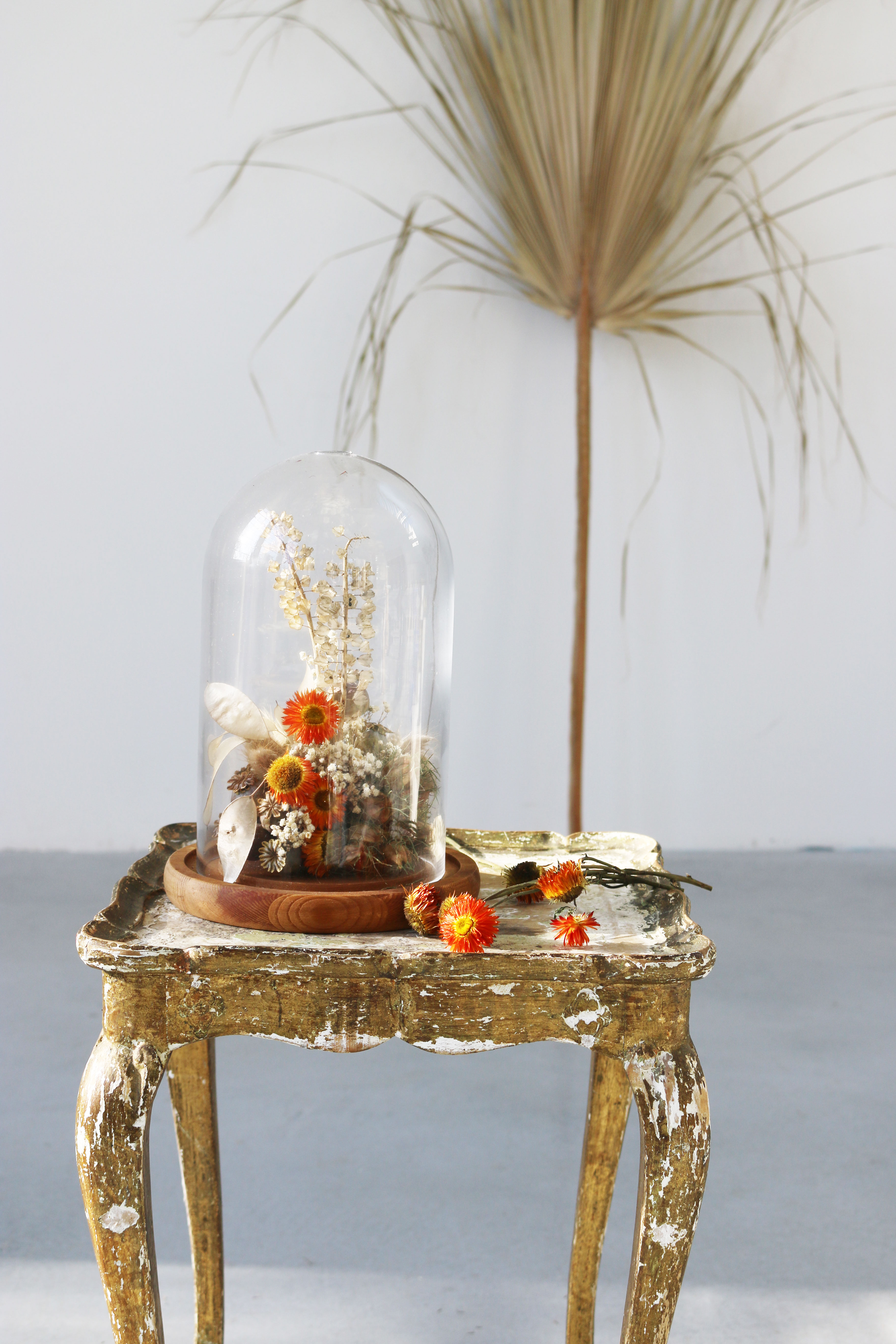 stolp droogbloemen