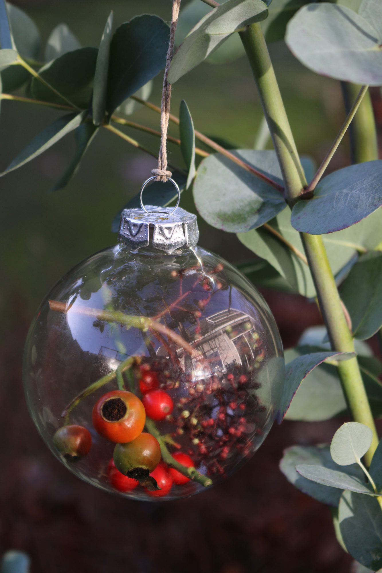 kerst tuin