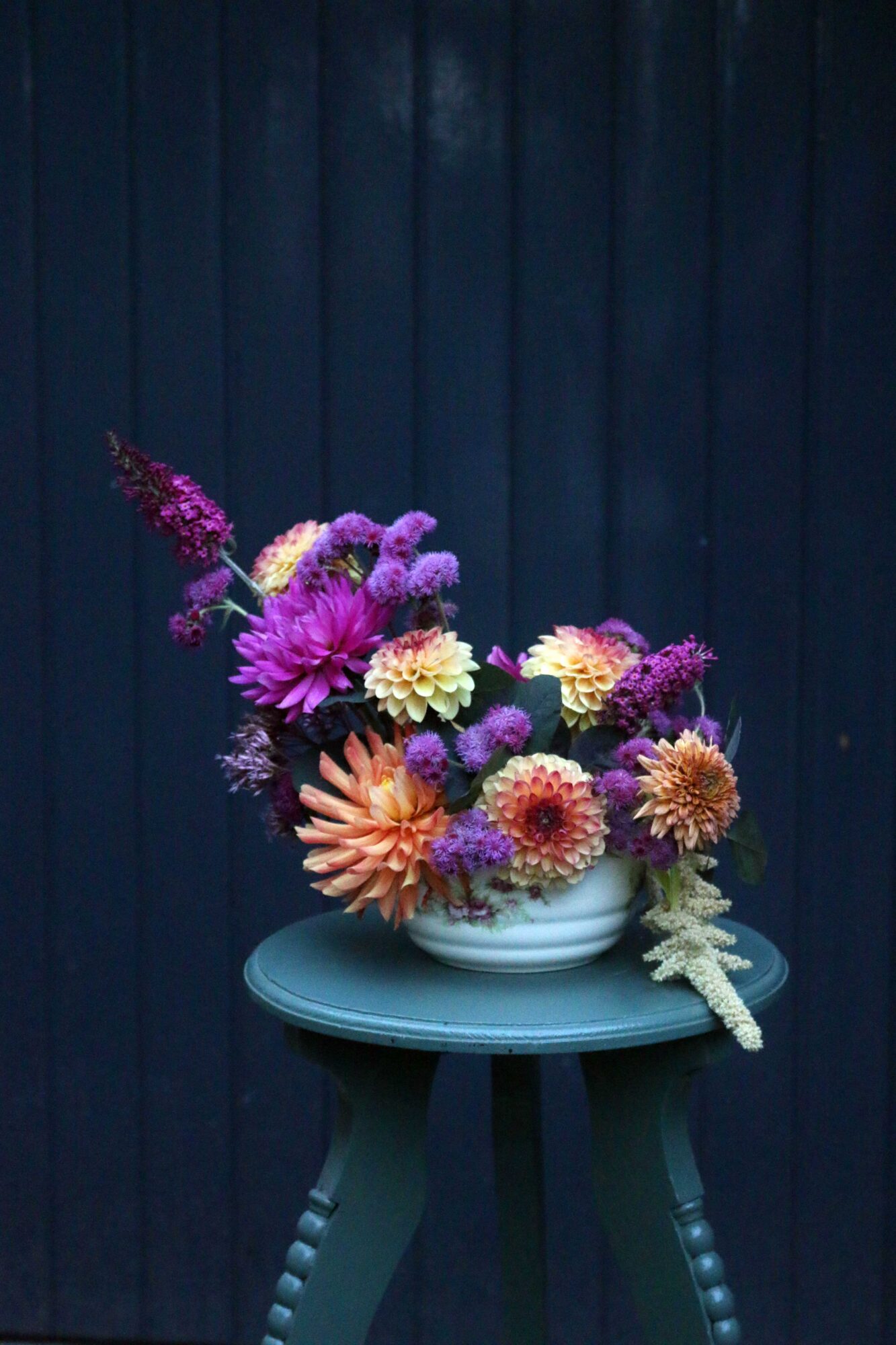 ageratum