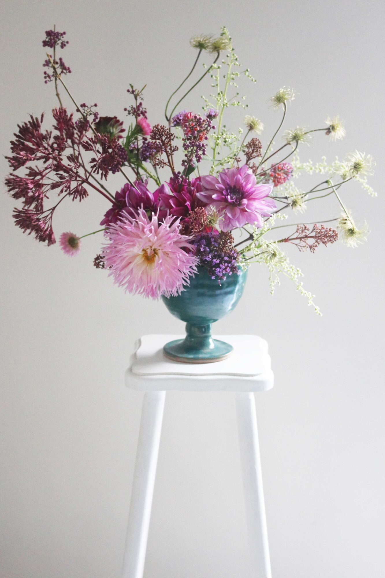 eupatorium