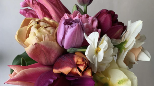 tulpen plukken uit eigen tuin