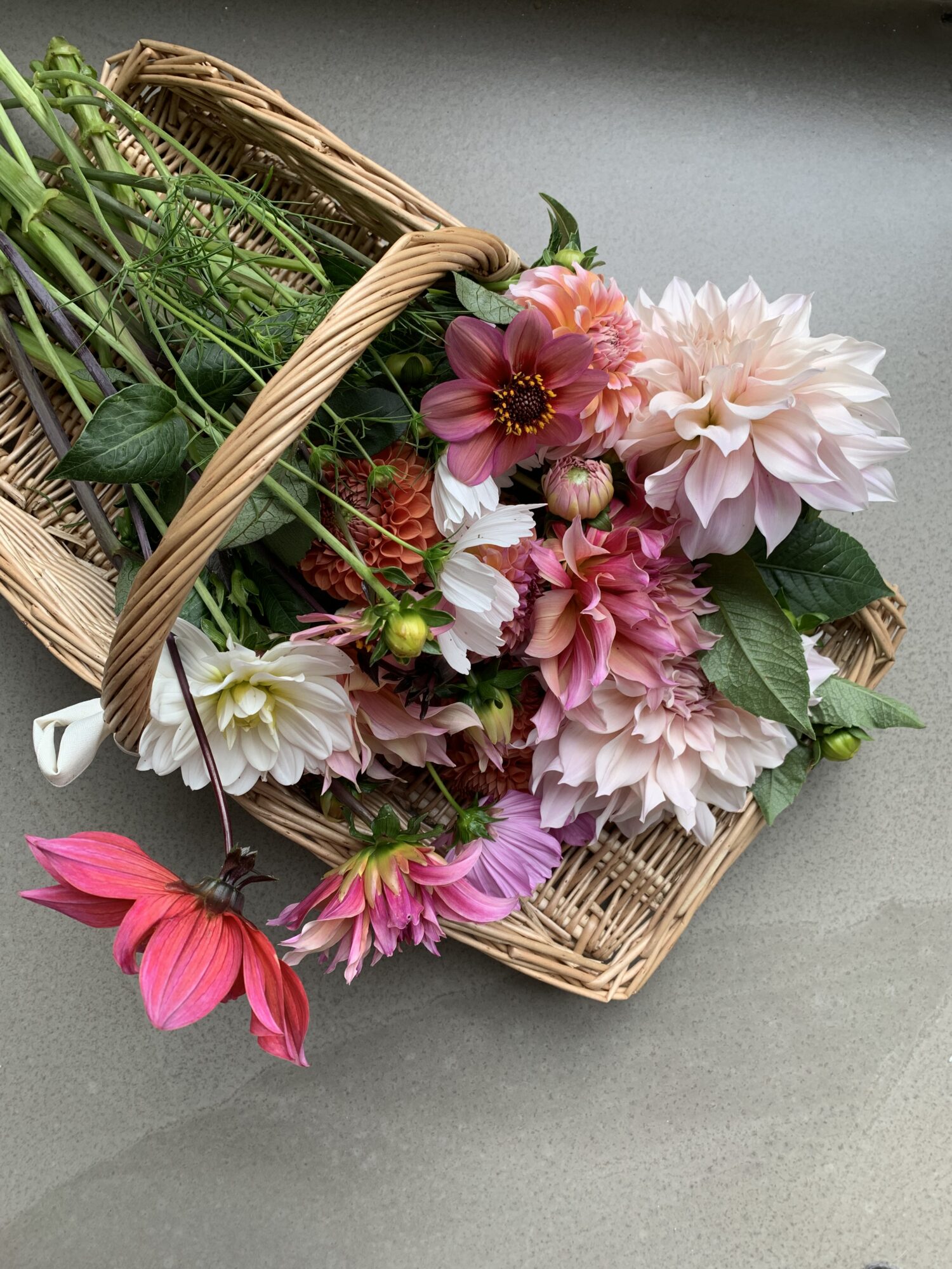 pluktuin plukbloemen pluktuinen plukmand