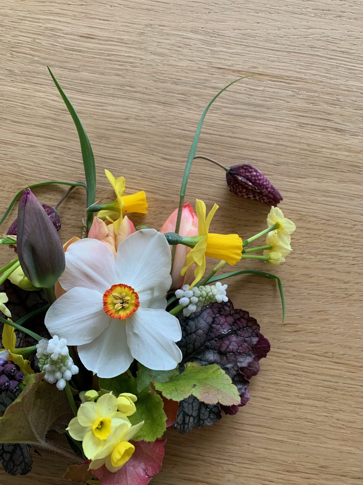 fritillaria kievitsbloem voorjaarsboeket plukbloem